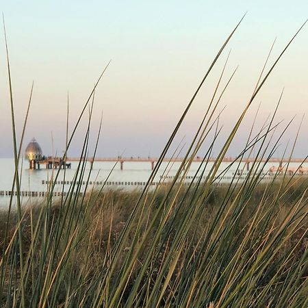 Ferienhaus Strandoase Zingst Eksteriør billede